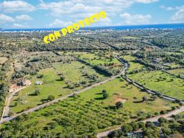 Finca rustica en venta en S'Illot-Cala Morlanda photo 0