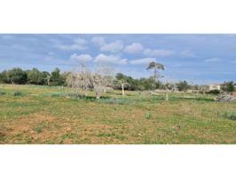 Finca rustica en venta en Santa Margalida photo 0