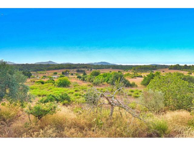 Casa rustica pareada en venta en Santa Margalida photo 0