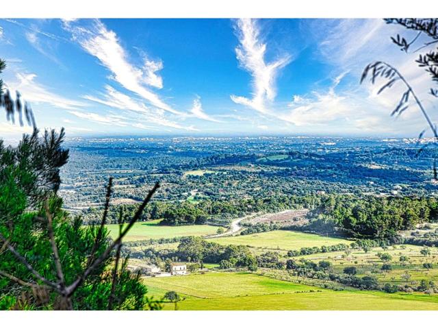 Finca rustica en venta en Manacor photo 0
