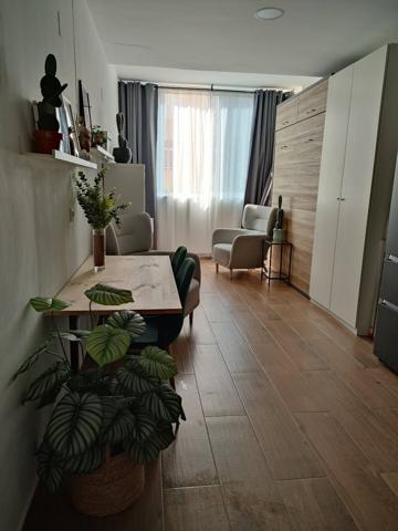 Estudio moderno junto a la playa de La Mata – Reformado y con parking privado photo 0