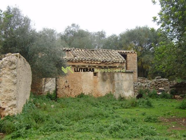 Rústica edificable con luz y agua además de proyecto aprobado de edificación. photo 0