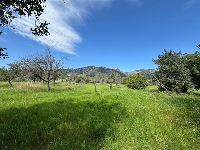 TERRENO RÚSTICO URBANIZABLE photo 0