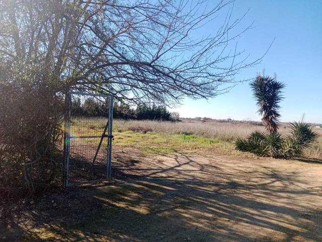Parcela rústica en Don Rodrigo, junto a la yeguada, consta de 1000 mts, pozo comunitario, sin luz (necesidad de photo 0