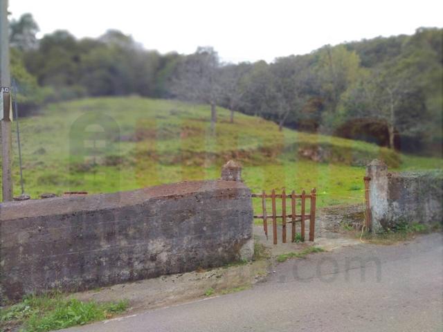 FINCA NO EDIFICABLE EN OVIEDO photo 0