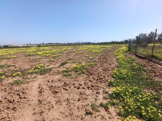 Venta de terreno en Cuesta Blanca photo 0