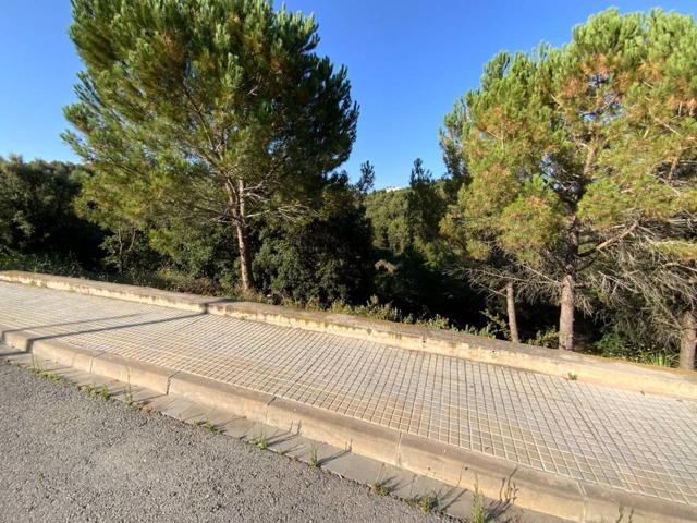 Terreno en venta en Sant Feliu de Codines photo 0