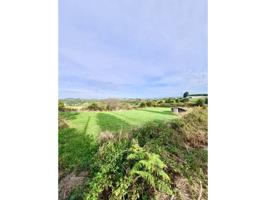 PRECIOSA FINCA EN SOTIELLO GIJON photo 0