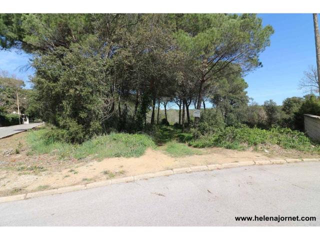 Terreno en la urbanización Llac dels Cignes photo 0