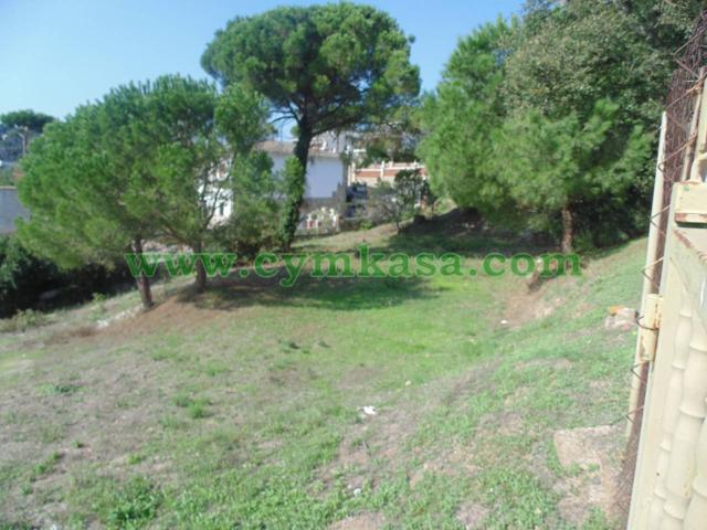 TERRENO en venta photo 0