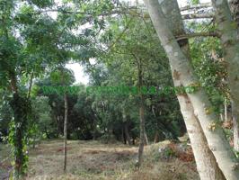 TERRENO en venta photo 0
