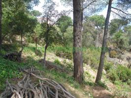 TERRENO en venta photo 0