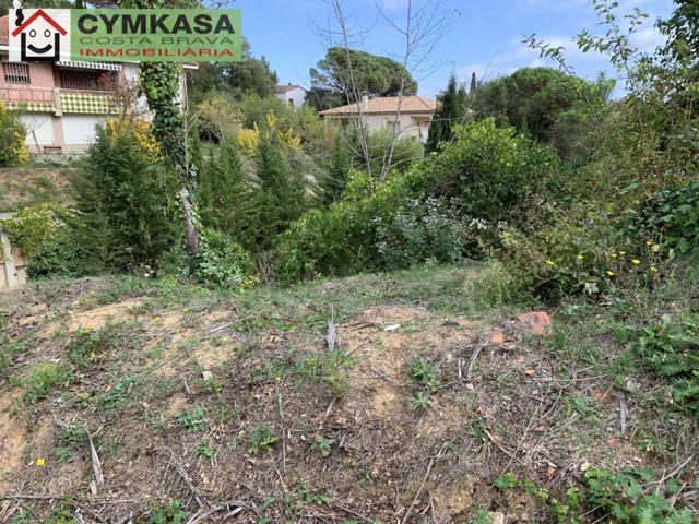 Terreno en venta en Maçanet de La Selva photo 0