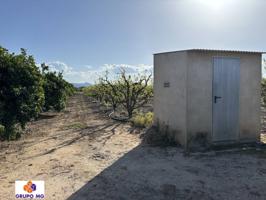 Terreno Rústico en Venta – 6 Ánegadas Cultivables con Riego por Goteo y Casita de Aperos photo 0