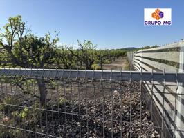 🌾 Terreno Rústico en Venta – 4 Ánegadas Cultivables con Riego por Goteo y Casita de Aperos photo 0