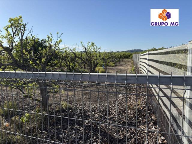 🌾 Terreno Rústico en Venta – 4 Ánegadas Cultivables con Riego por Goteo y Casita de Aperos photo 0