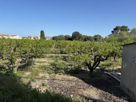🌿 Terreno Rústico en Venta en Llanera de Ranes – 4 Ánegadas para Cultivo photo 0