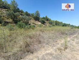 Terreno Agrario en Venta photo 0