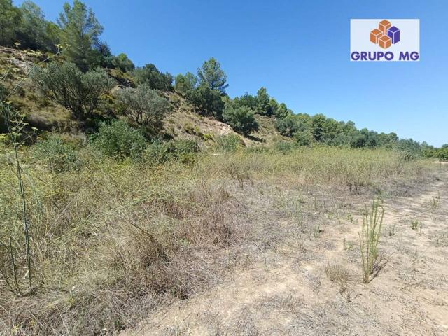 Terreno Agrario en Venta photo 0