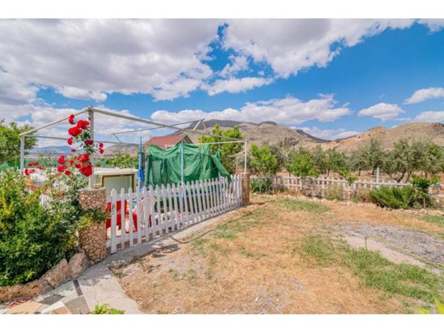 Finca rustica en alquiler en Pinos Puente photo 0