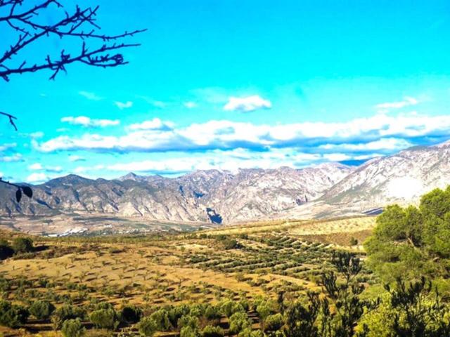 Finca rústica en Albuñuelas photo 0
