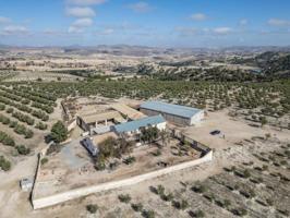 Espectacular finca productiva en Alamedilla: 223 hectáreas de alto rendimiento photo 0
