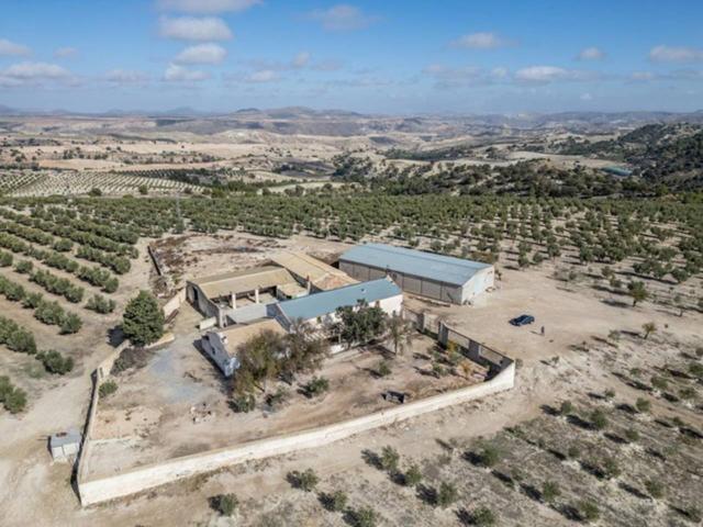 Espectacular finca productiva en Alamedilla: 223 hectáreas de alto rendimiento photo 0