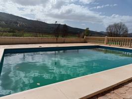 CHALET EN EL CAMPO MAS TERRENO Y NEGOCIO photo 0