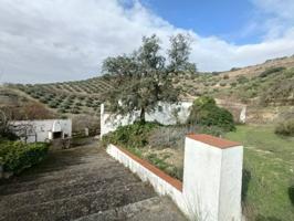 FINCA RUSTICA CON CORTIJO REFORMADO photo 0