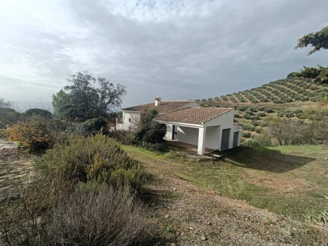 FINCA RUSTICA CON CORTIJO REFORMADO photo 0