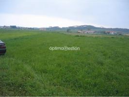 Finca rustica en venta en Cardo photo 0