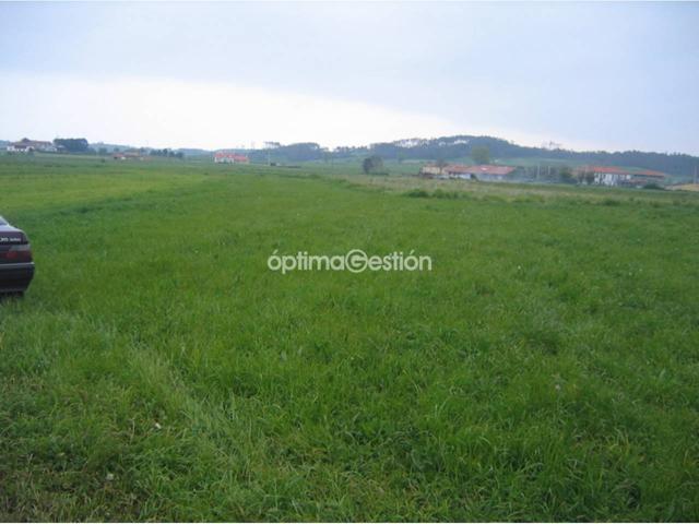 Finca rustica en venta en Cardo photo 0