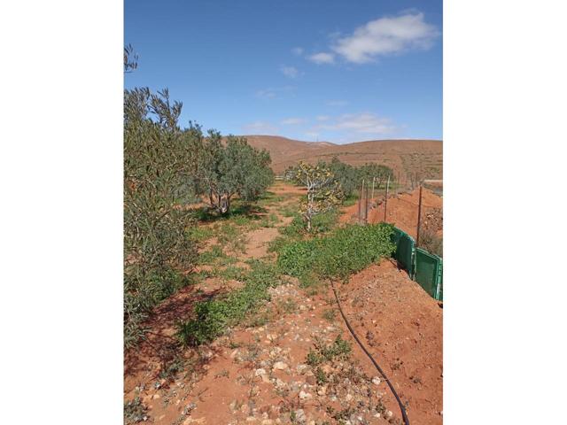 VENTA FINCA AGRICOLA EN AGUA DE BUEYES photo 0