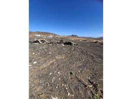 TERRENO RUSTICO AGRARIO photo 0