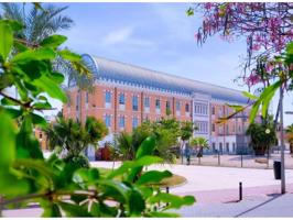 Estupendo Piso para Estudiantes en el Barrio del Carmen photo 0