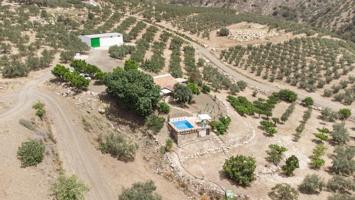 FINCA DE REGADÍO ECOLÓGICA EN MÁLAGA photo 0