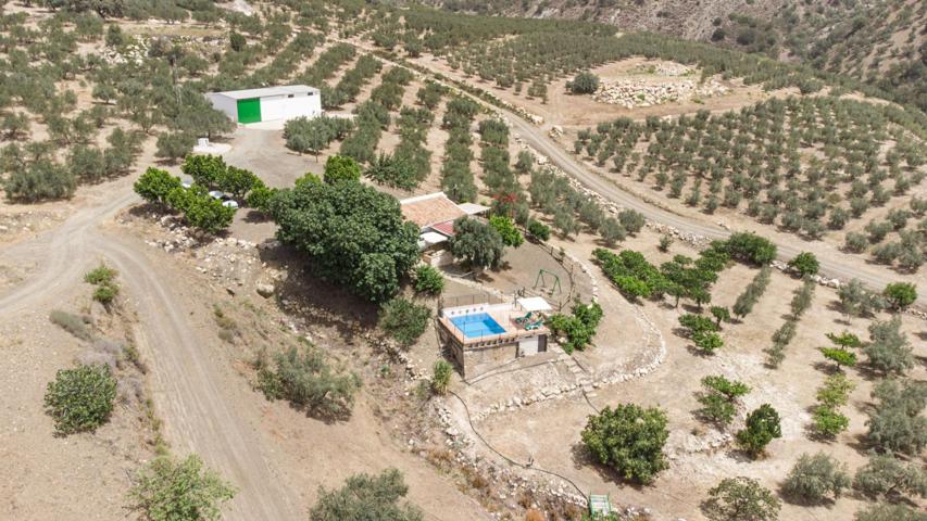 FINCA DE REGADÍO ECOLÓGICA EN MÁLAGA photo 0