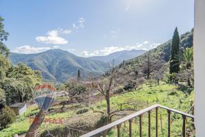 EXCLUSIVA FINCA EN PARAJE NATURAL EN JUBRIQUE photo 0