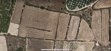 TERRENO RUSTICO EDIFICABLE photo 0