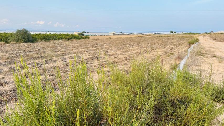 ¡Terreno de 10.700 m² en El Molar, a solo 3 minutos del mar! photo 0