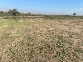 TERRENO RURAL 7500 METROS JUNTO AL MOLAR photo 0