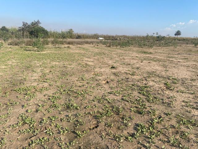 TERRENO RURAL 7500 METROS JUNTO AL MOLAR photo 0