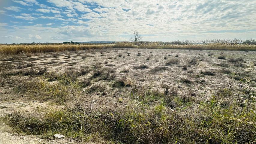 ¡OPORTUNIDAD UNICA! TERRENO EN VENTA photo 0