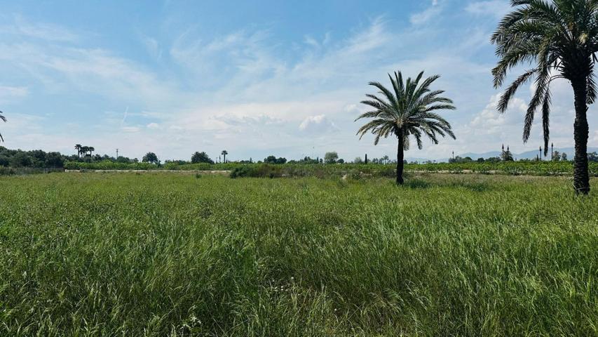 Terreno Rústico en Partida Daimes – 11.000 m2 en Camí Fondo de La Ermita photo 0