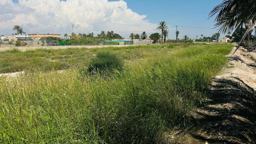 Terreno Rústico en Partida Daimes – 11.000 m² en Camí Fondo de La Ermita photo 0