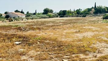 TERRENO RUSTICO EN PERLETA photo 0