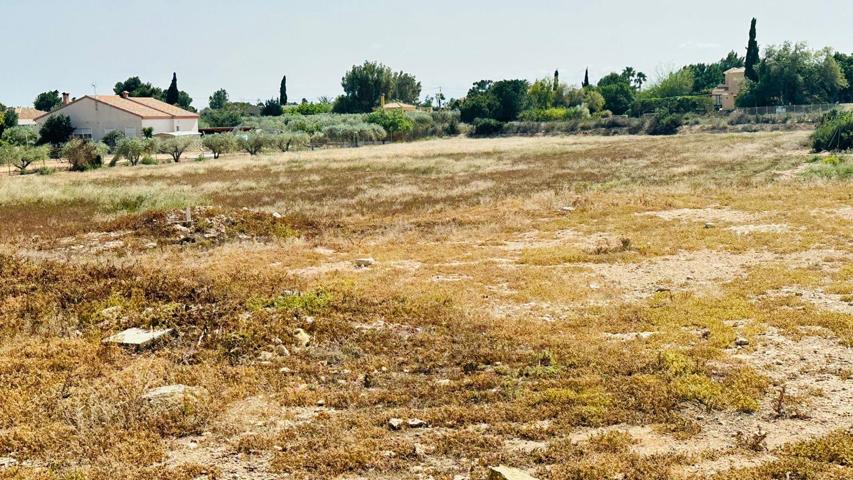 TERRENO RUSTICO EN PERLETA photo 0