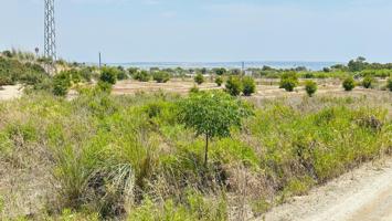 🌿 Terreno de 3.970 m² en La Marina – Excelente Ubicación 🚜 photo 0