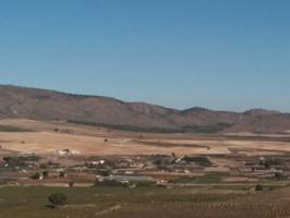 FINCA RUSTICA DE RIEGO EN EL RASO DE TOBARRA photo 0