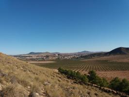 FINCA DE CAZA EN VENTA EN LA PROVINCIA DE ALBACETE photo 0